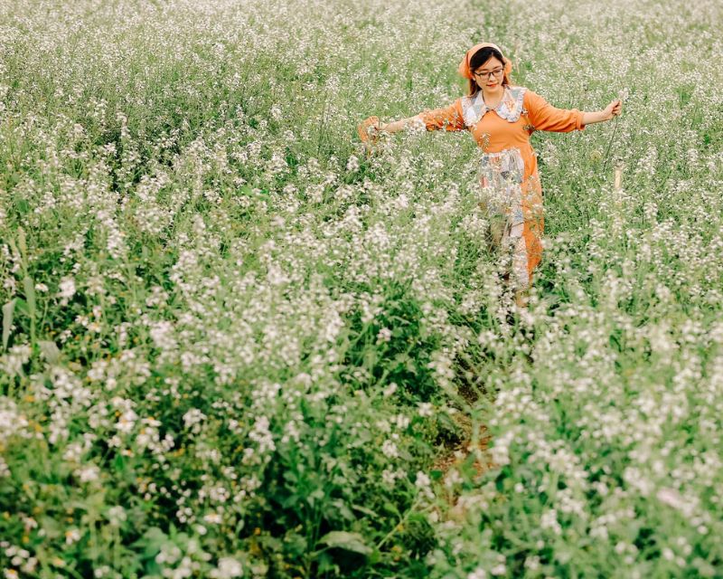 hinh-anh-hoa-cai-trang-dep
