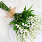 y-nghia-hoa-linh-lan
