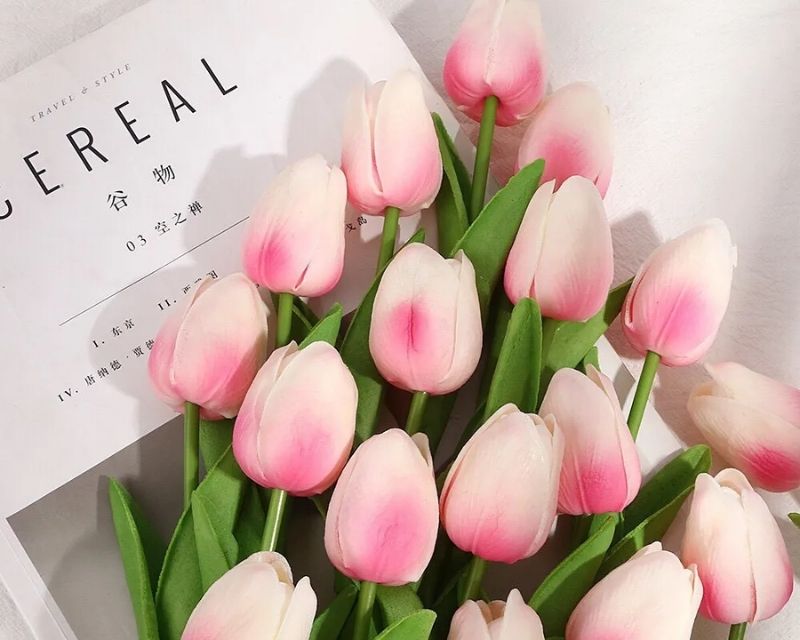 y-nghia-hoa-tulip-1